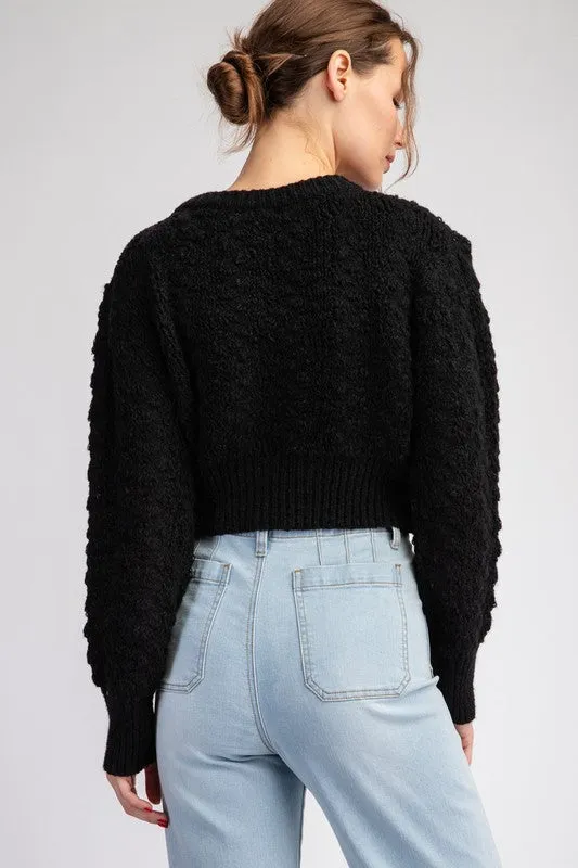 Flower Point Cropped Sweater Cardigan