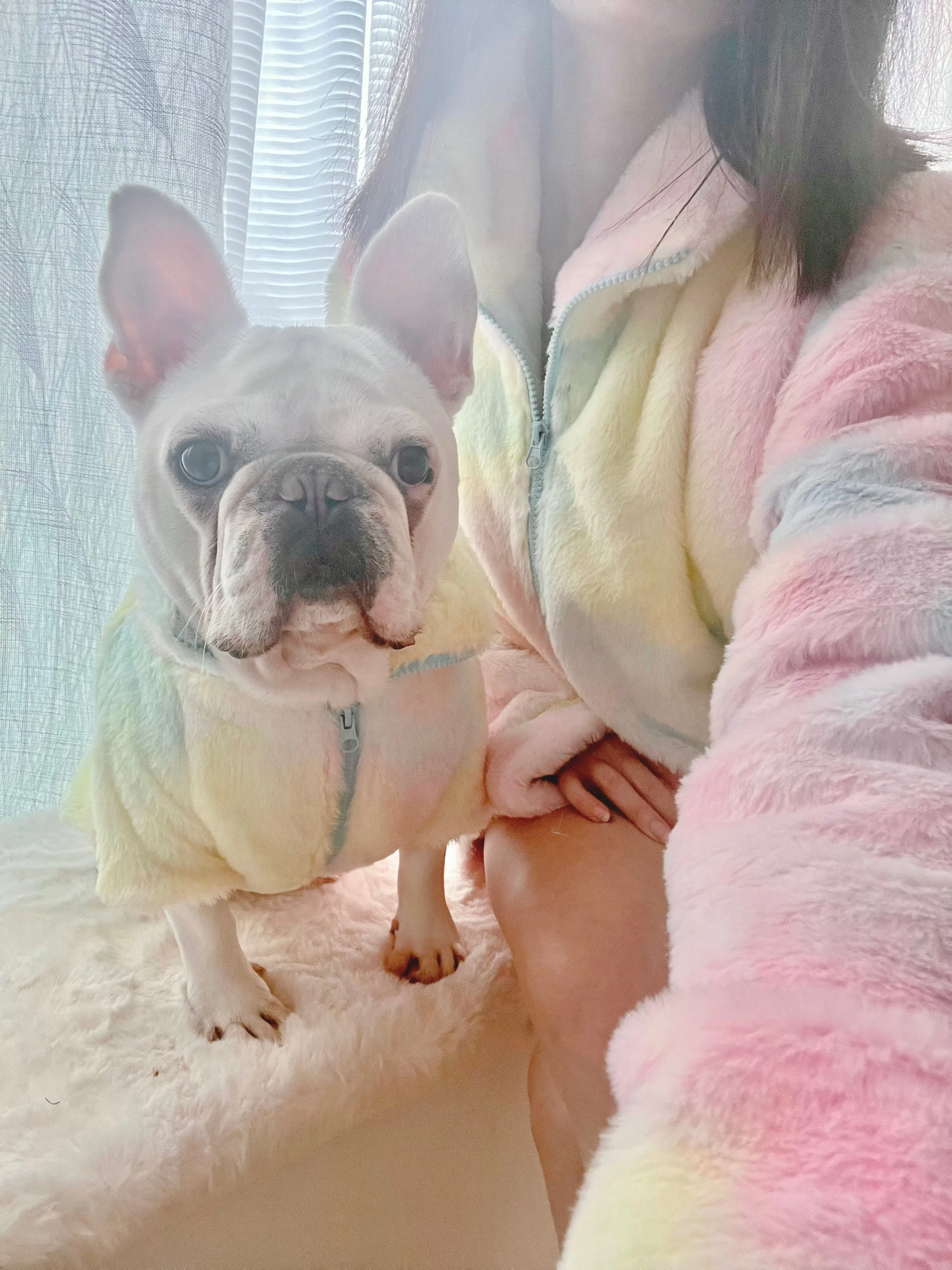 Pastel Dream Swifties Era Lover Vibes Owner Cardigan and Pet Matching Set